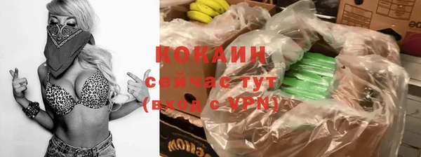 ГАЛЛЮЦИНОГЕННЫЕ ГРИБЫ Верея