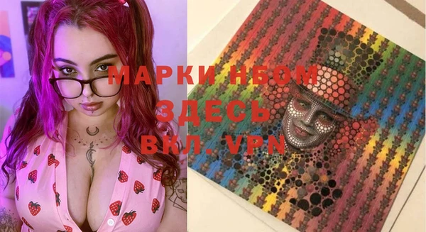 ГАЛЛЮЦИНОГЕННЫЕ ГРИБЫ Верея