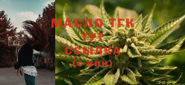 ГАЛЛЮЦИНОГЕННЫЕ ГРИБЫ Верея
