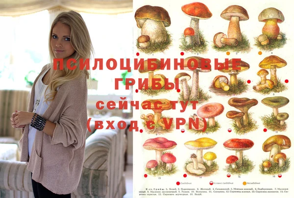 кокаин премиум Верхний Тагил