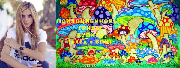 ГАЛЛЮЦИНОГЕННЫЕ ГРИБЫ Верея